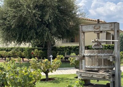 Κτήμα Οινότρια Γη του Κώστα Λαζαρίδη, Δεκέμβριος 2024