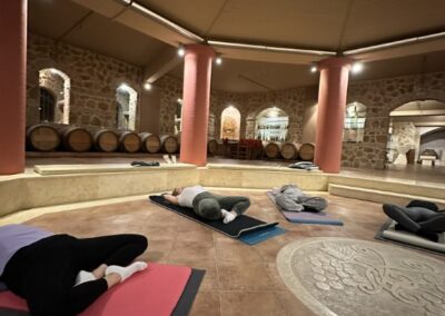Κτήμα Οινότρια Γη του Κώστα Λαζαρίδη, Δεκέμβριος 2024