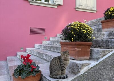 Ναύπλιο, 2025