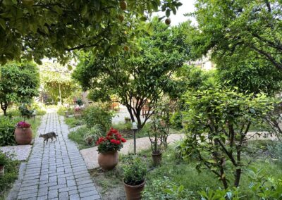 Yoga Retreat στην Αίγινα: Παύση. Αναπνοή. Κίνηση. Ραστώνη.