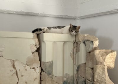 Αίγινα, 2026